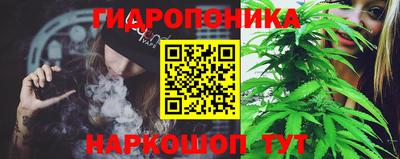 прущие крисы Гусиноозёрск