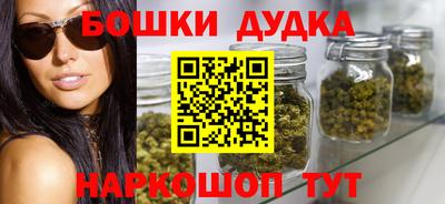 индика Гусев