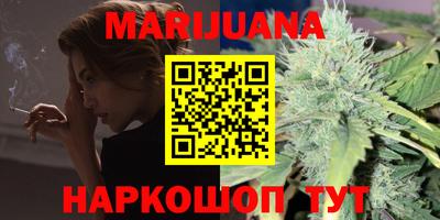 индика Гусев
