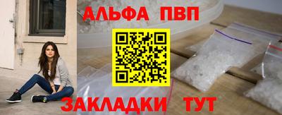 индика Гусев